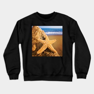 Starfish on Stone Crewneck Sweatshirt